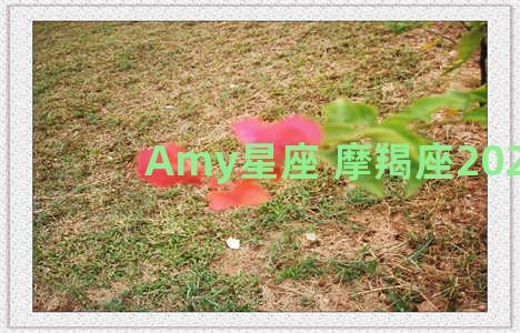 Amy星座 摩羯座2021